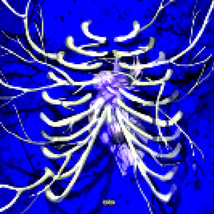 日本小视频网站
